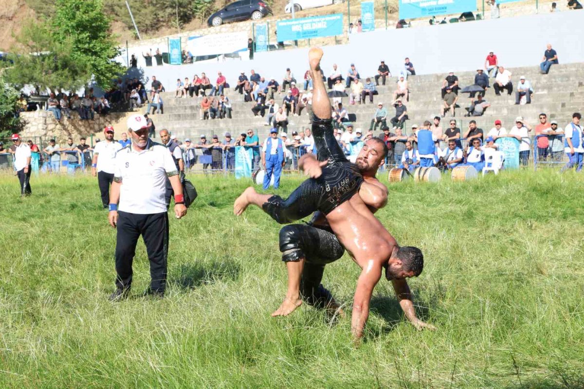 64. Çalı Güreşleri'nde Başpehlivan Erkan Taş Oldu - Foto 3