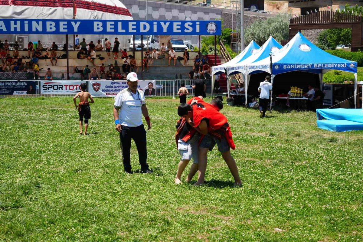 Aşırtmalı Aba Güreşi Türkiye Şampiyonası Başladı - Foto 2