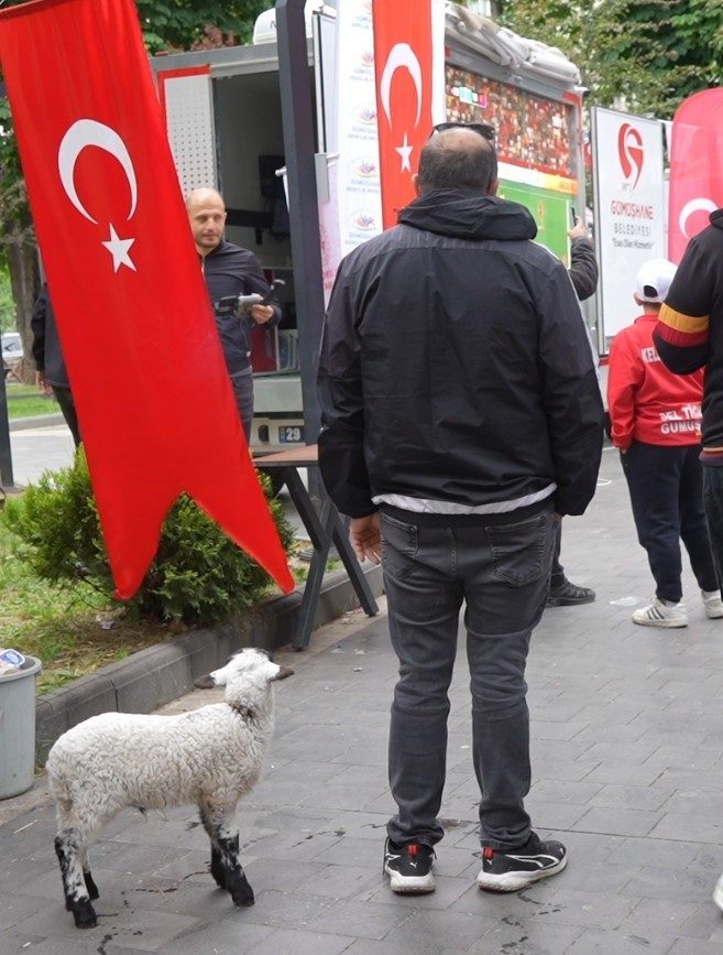 Gümüşhane’de milli heyecan sabahın erken saatlerinde başladı - Foto 5