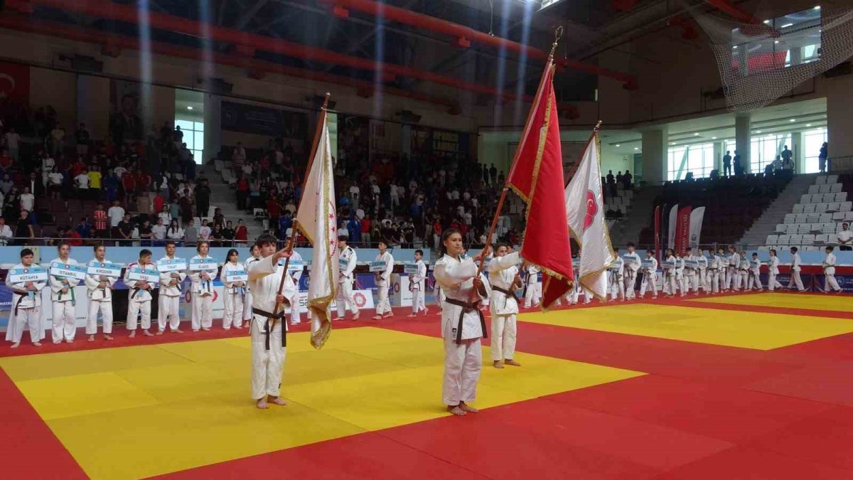 Hatay'da Yıldızlar Türkiye Judo Şampiyonası Başladı - Foto 3