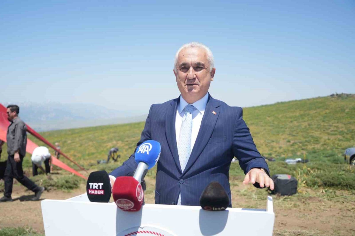 Muş'ta Türkiye Yamaç Paraşütü Mesafe Yarışması Başladı - Foto 3
