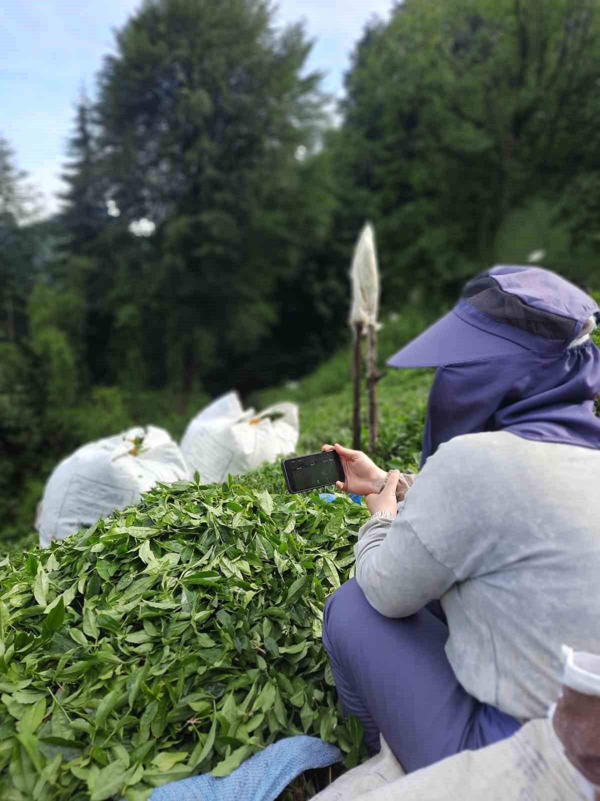 Rize’de çay bahçesinde milli maç heyecanı