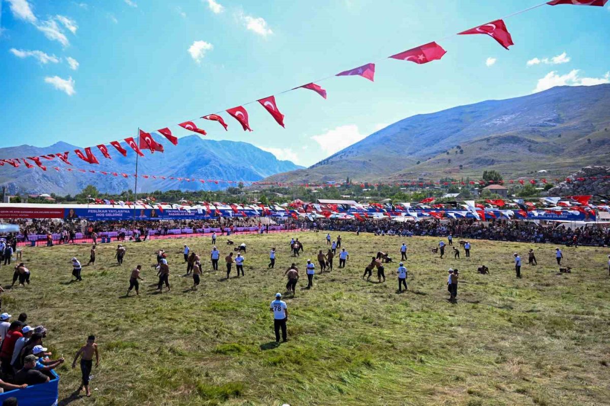 Feslikan Yağlı Pehlivan Güreşleri’ni Başpehlivan Erkan Taş kazandı - Foto 3