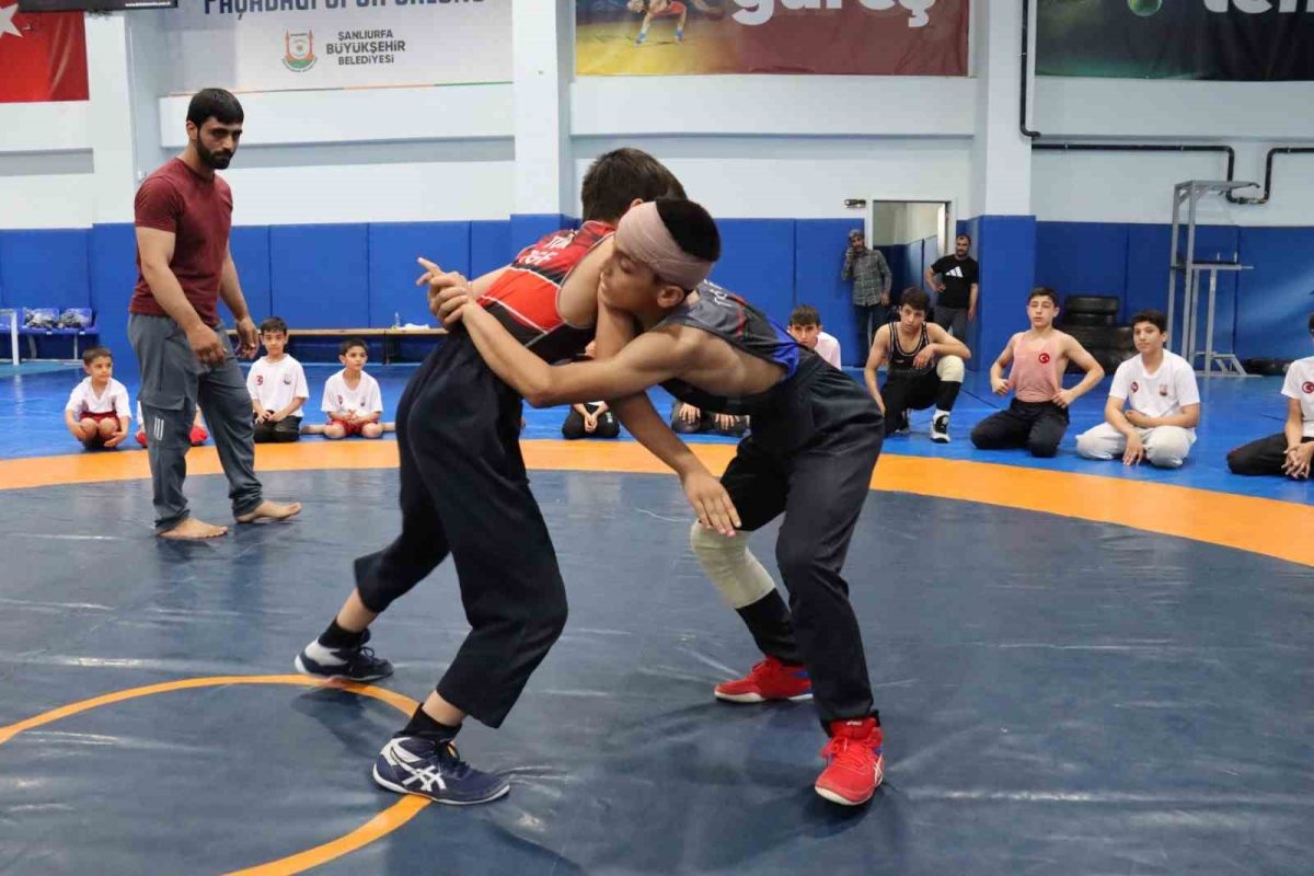Şanlıurfa’da ata sporu güreşe yoğun ilgi - Foto 2