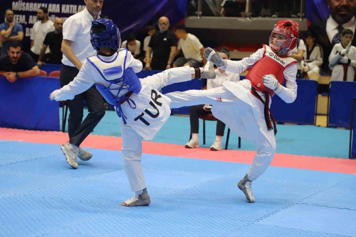 Anadolu Yıldızlar Ligi Taekwondo Türkiye Şampiyonası Karabük’te başladı