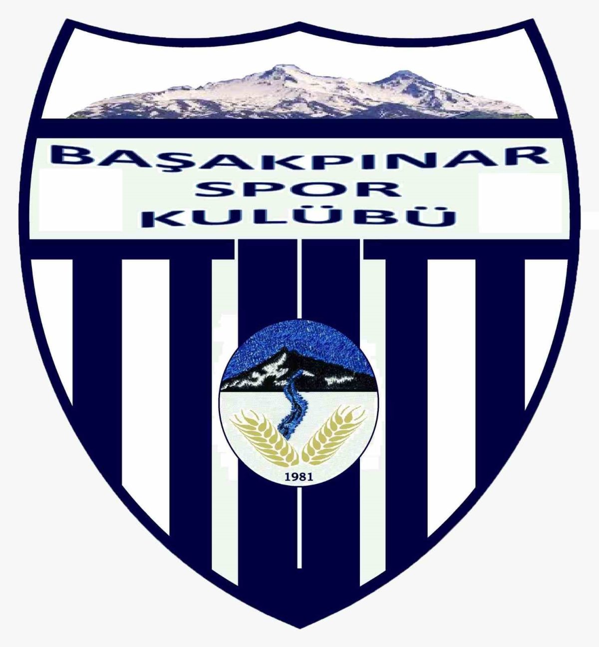 Başakpınarspor Kulübü lige katılmayacağını açıkladı