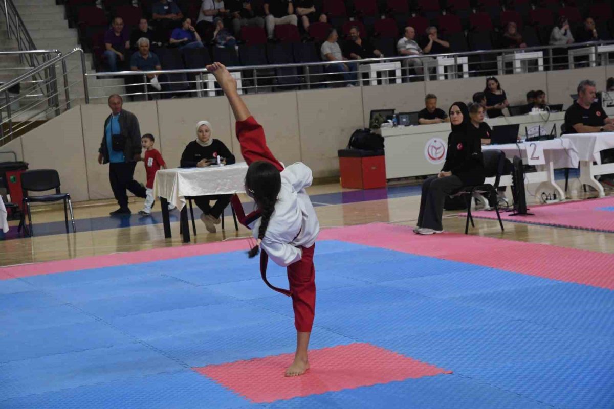 Eskişehir’de 2’inci İller Arası Taekwondo Poomsae Turnuvası heyecanı - Foto 3