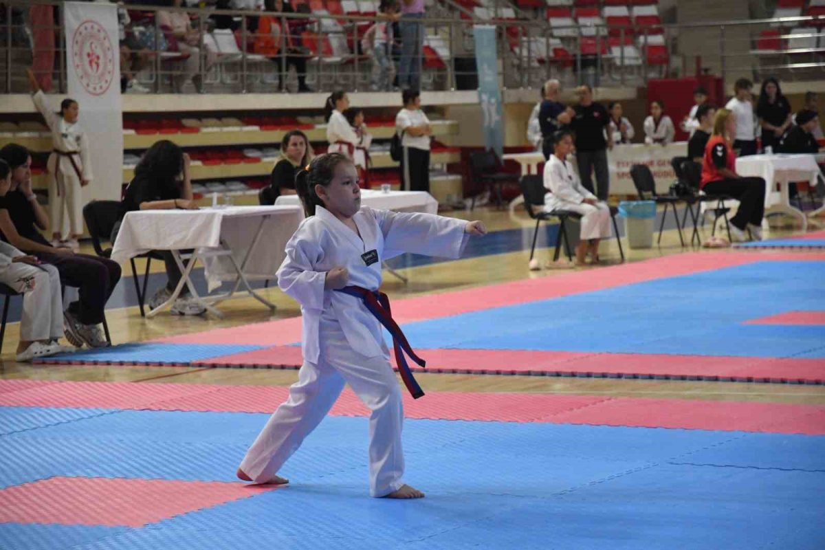 Eskişehir’de 2’inci İller Arası Taekwondo Poomsae Turnuvası heyecanı - Foto 4
