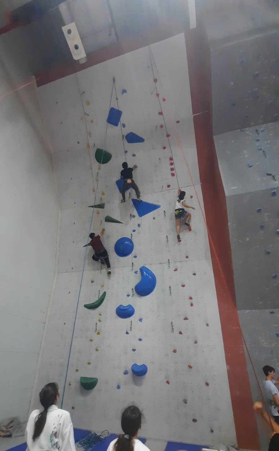 Kayserili 29 sporcu spor tırmanışta ileri seviye eğitim hakkı kazandı - Foto 2
