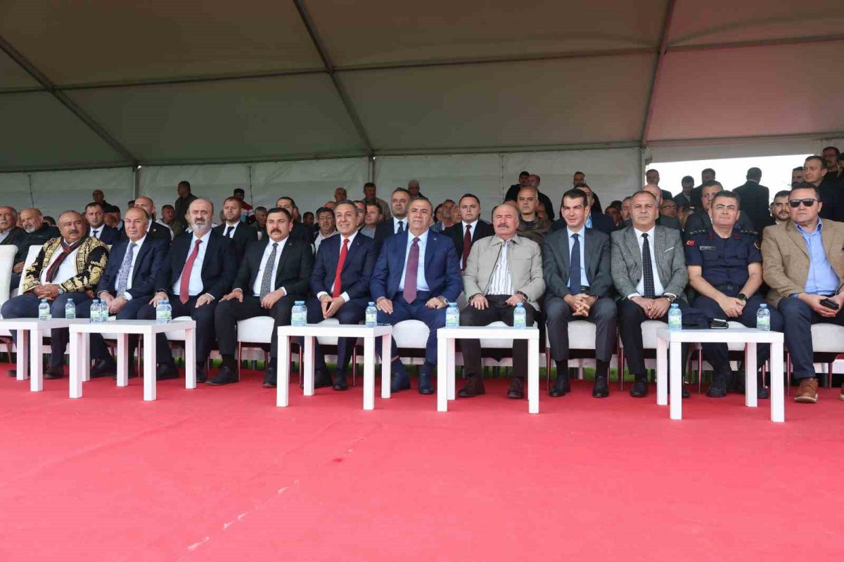 Geleneksel Sungurlu Yağlı Pehlivan Güreşleri kıyasıya mücadelelere sahne oldu - Foto 6