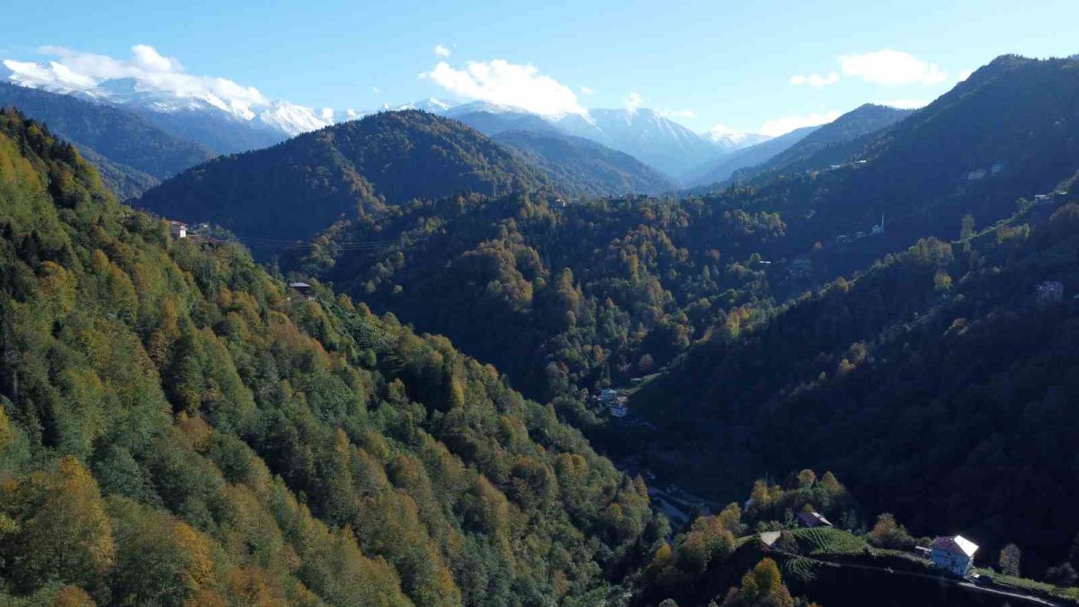 Rize’nin turizmde yükselen yıldızı: Senoz Vadisi - Foto 4