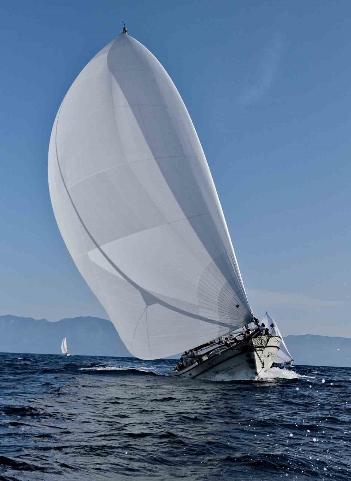 The Bodrum Cup’ta şampiyon ’Daniel 1’ oldu - Foto 8