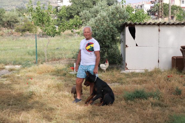 Arda Vural