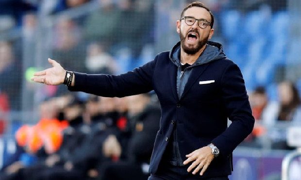 Fenerbahçe'nin 4 hoca adayı