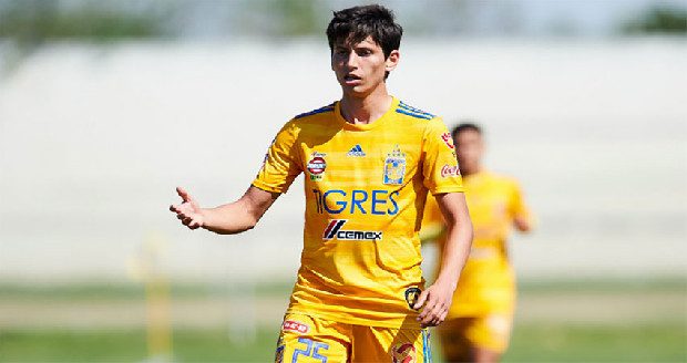 İşte Fenerbahçe'yi şampiyonluğa taşıyacak kadro