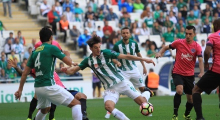 Timsah Seriye Bağladı!!