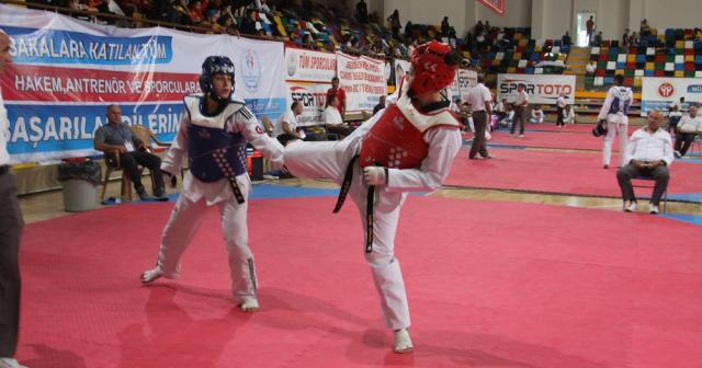 Türkiye Taekwondo Şampiyonası sona erdi