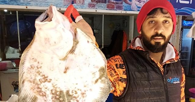 Balıkçıların ağına takıldı 900 Liraya satışa çıktı