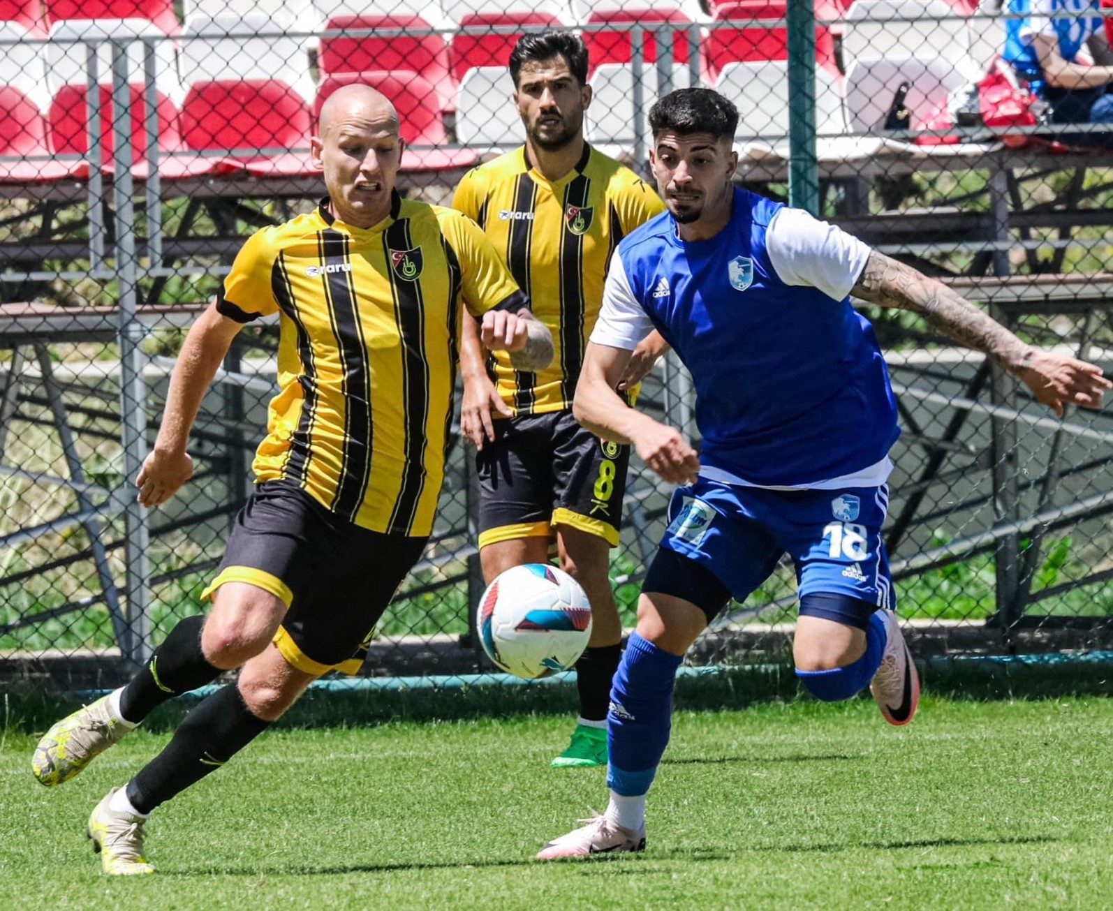Doğu Kaplanı İstanbul'da Avlanamadı