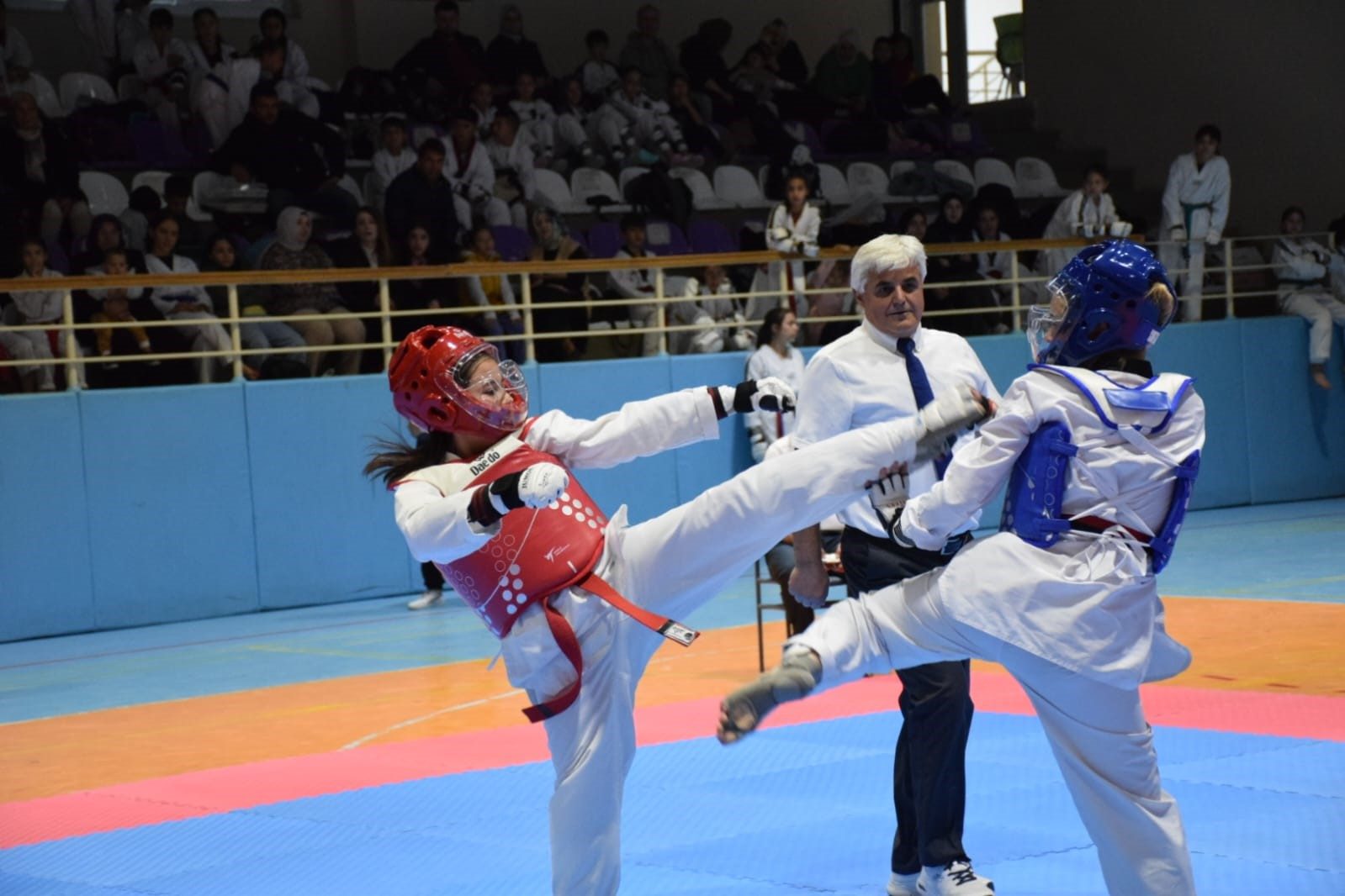 Miniklerin ve Yıldızların Taekwondo Zaferi