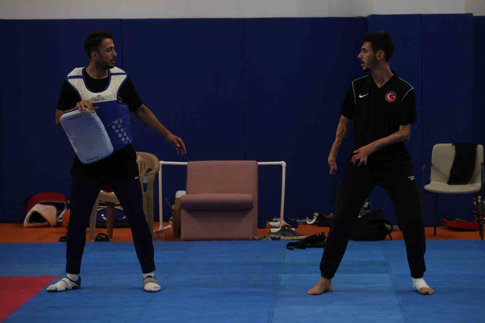 Mahmut Bozteke'nin Altın Hedefi: Paris 2024